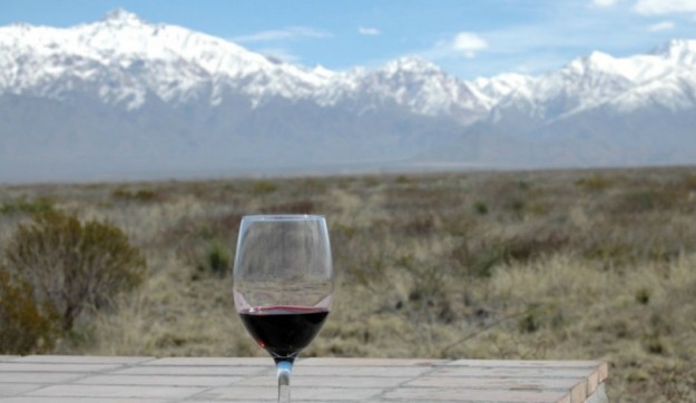 La historia del vino en Mendoza